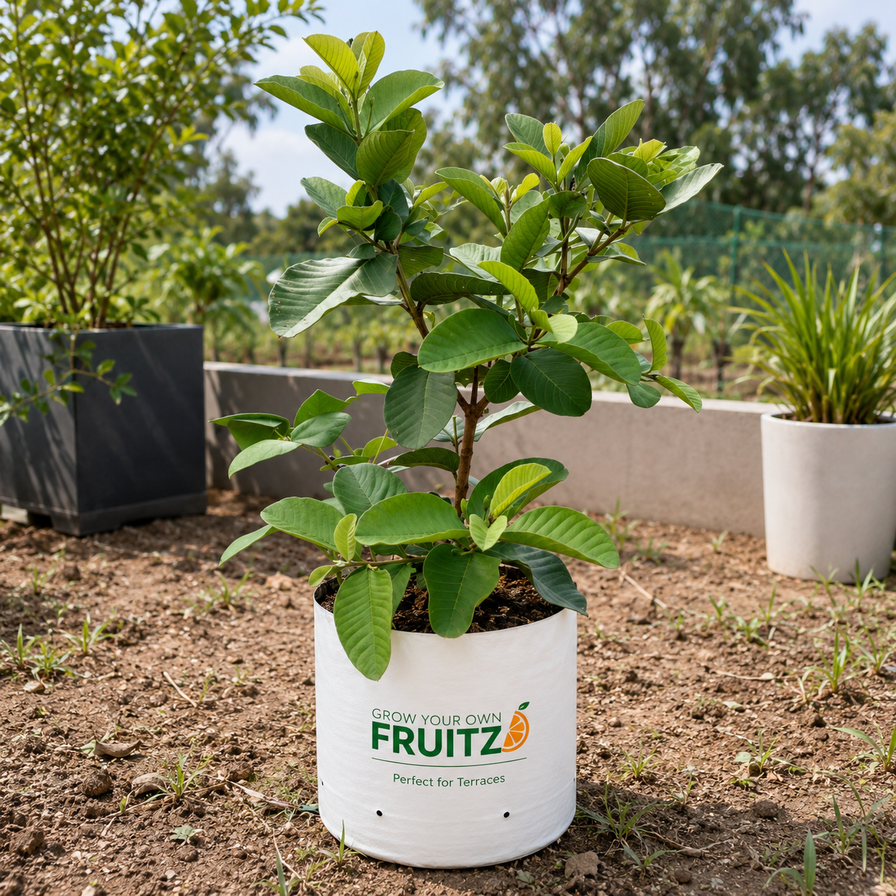 Fruitzo ProGro Premium Double Layer LDPE Grow Bag – 16×16 Inch
