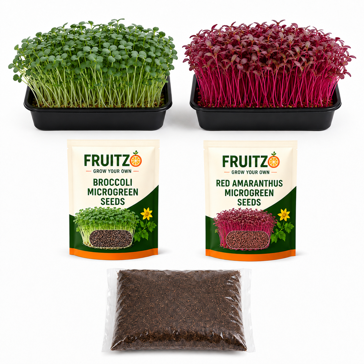 Healthy Aging Microgreen Seeds with kit*