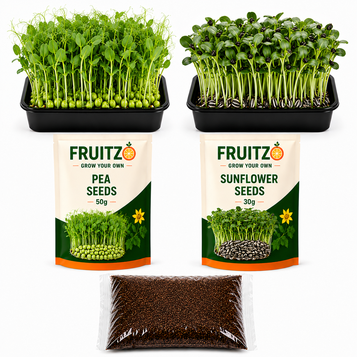 Brain & Eye Health Combo Microgreen Seeds with kit