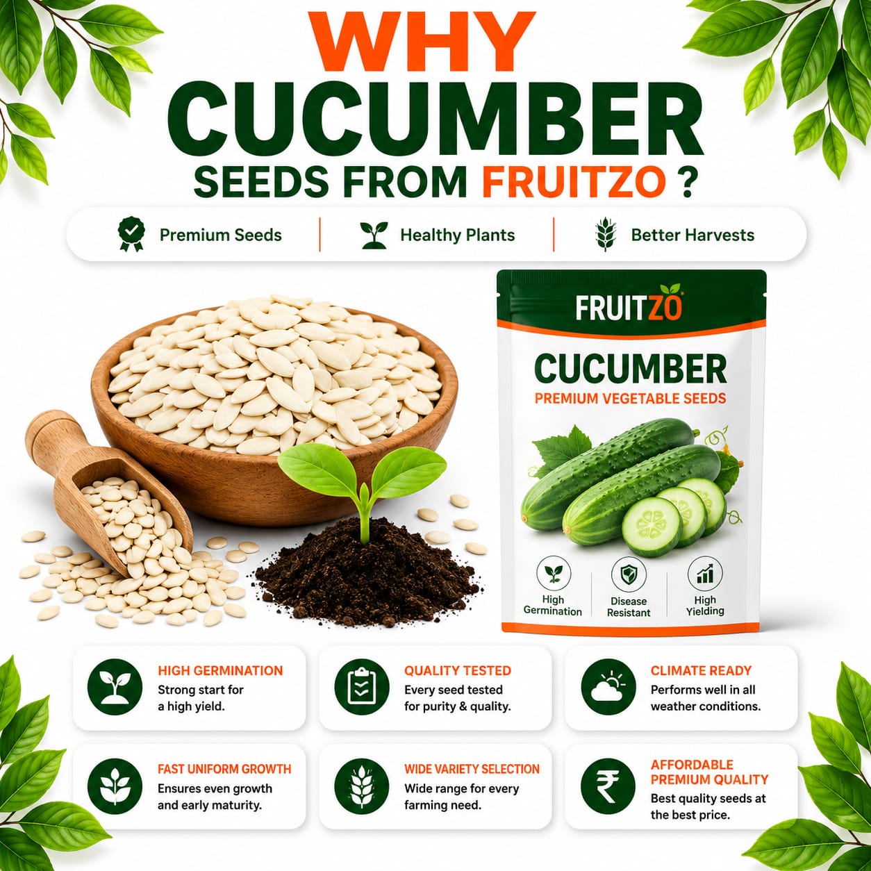 Cucumber Seeds for Home & Terrace Gardening