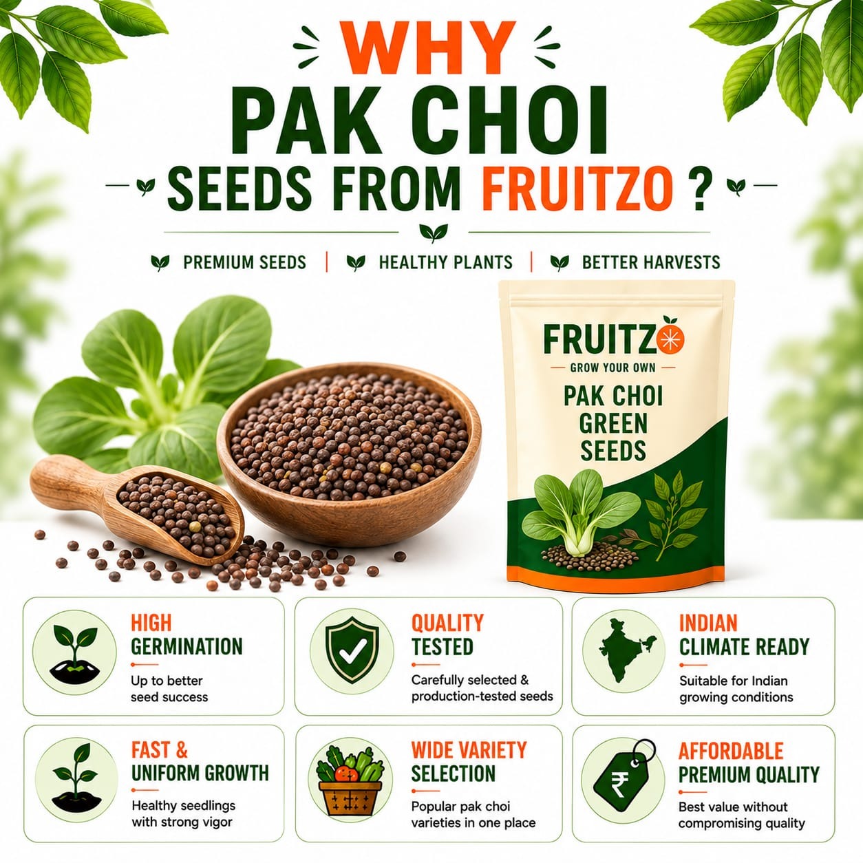 Pak Choy Seeds for Home & Terrace Gardening