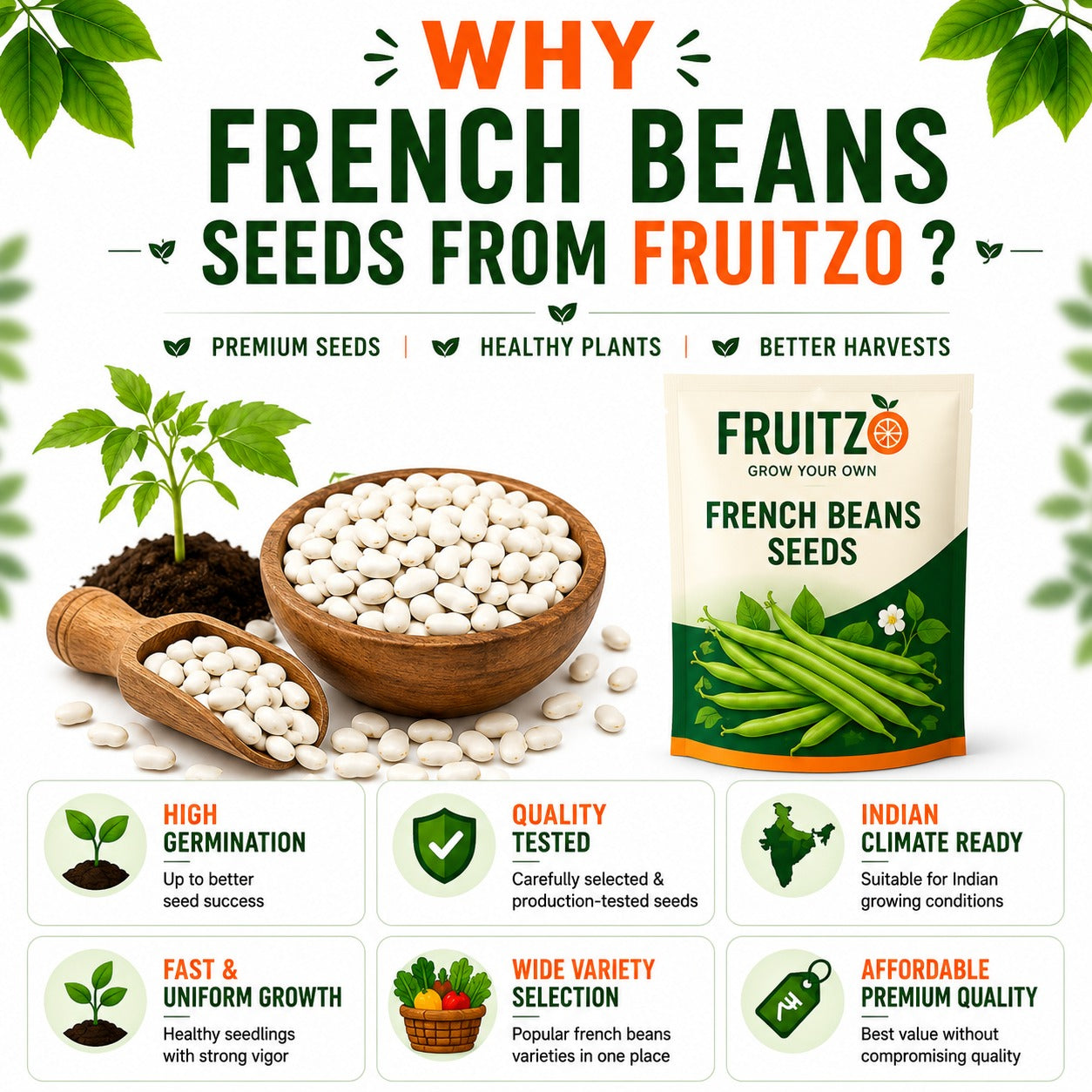 French Beans Seeds for Home & Terrace Gardening