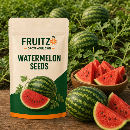 Water melon Seeds for Home & Terrace Gardening