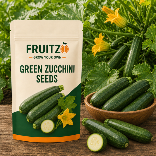 Green Zucchini Seeds for Home & Terrace Gardening