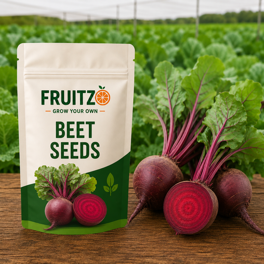 Beet Seeds for Home & Terrace Gardening
