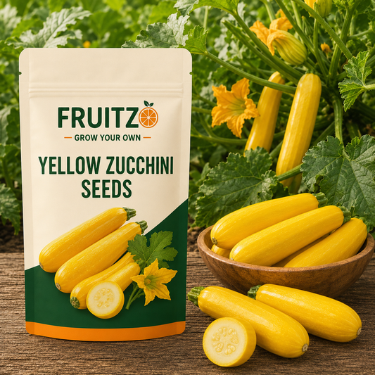 Yellow Zucchini Seeds for Home & Terrace Gardening