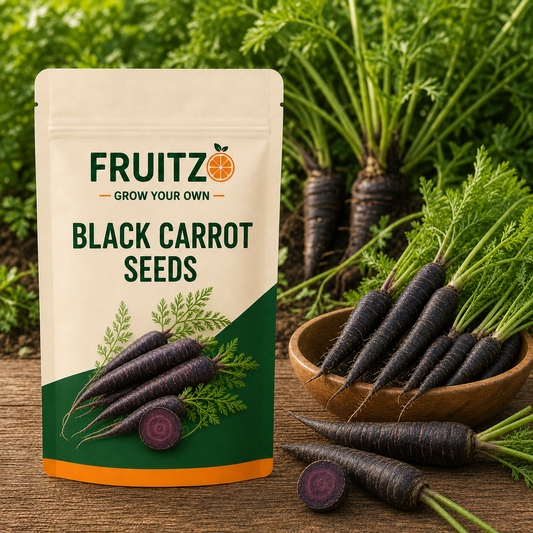 Black Carrot Seeds for Home & Terrace Gardening