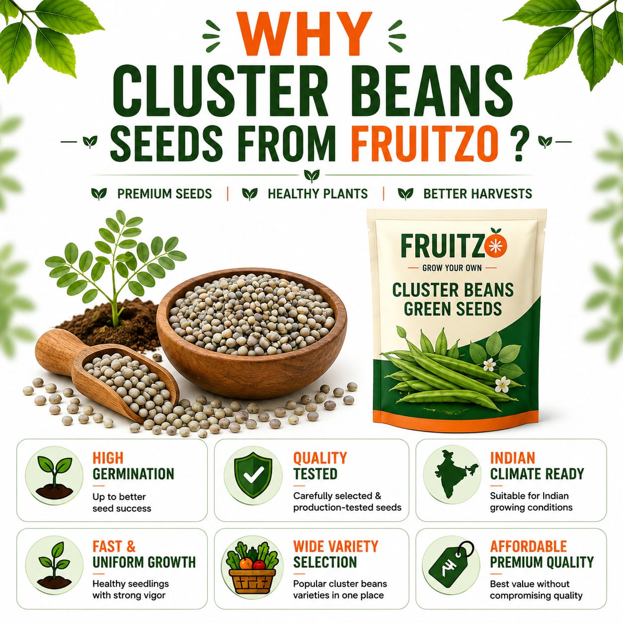 Cluster Beans Seeds for Home & Terrace Gardening