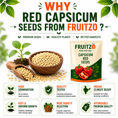 Capsicum Red Seeds for Home & Terrace Gardening