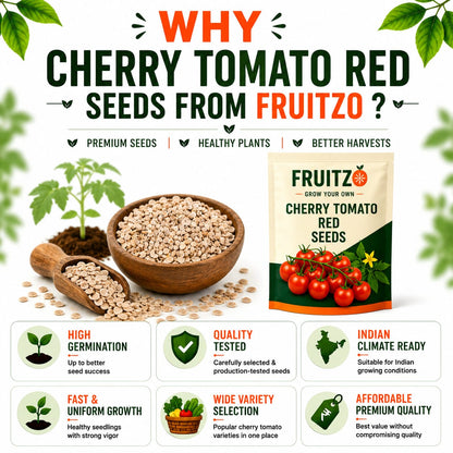 Cherry Tomato Red Seeds for Home & Terrace Gardening