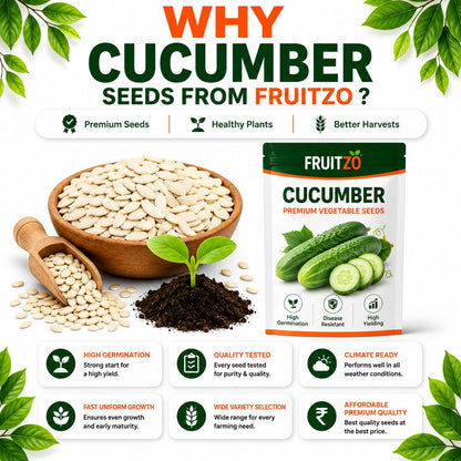 Cucumber Seeds for Home & Terrace Gardening