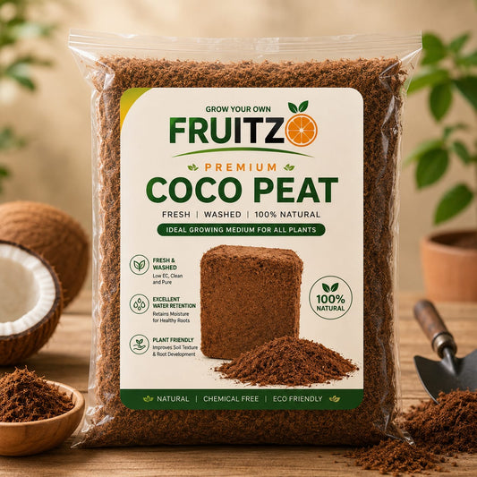 Fruitzo CocoGold™ – Fresh Washed Cocopea