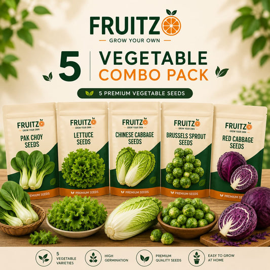 Green Basket Combo For Kitchen Gardening