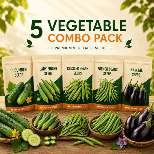 Healthy Harvest Combo For Kitchen Gardening