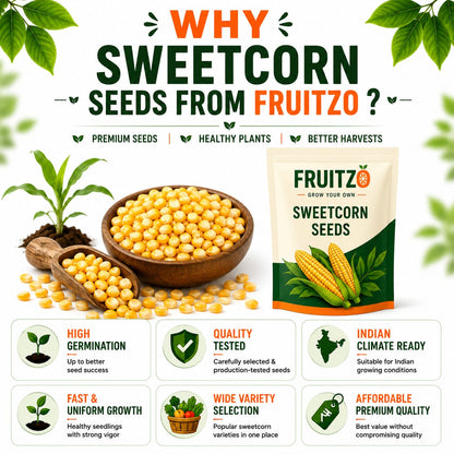 Sweetcorn Seeds for Home & Terrace Gardening