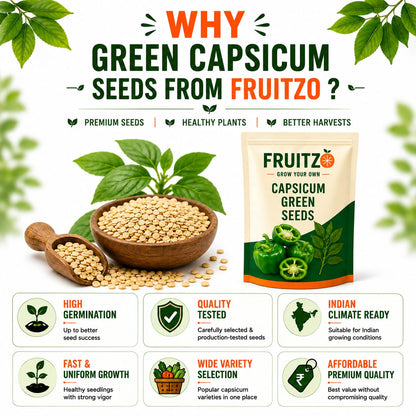Capsicum Green Seeds for Home & Terrace Gardening