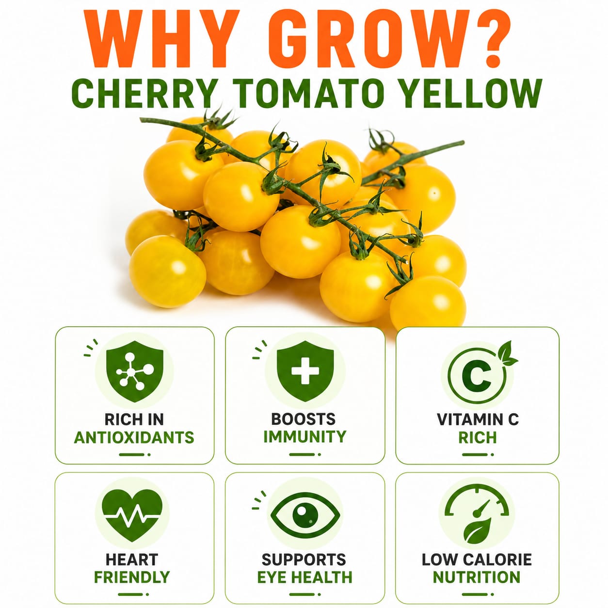 Cherry Tomato Yellow Seeds for Home & Terrace Gardening