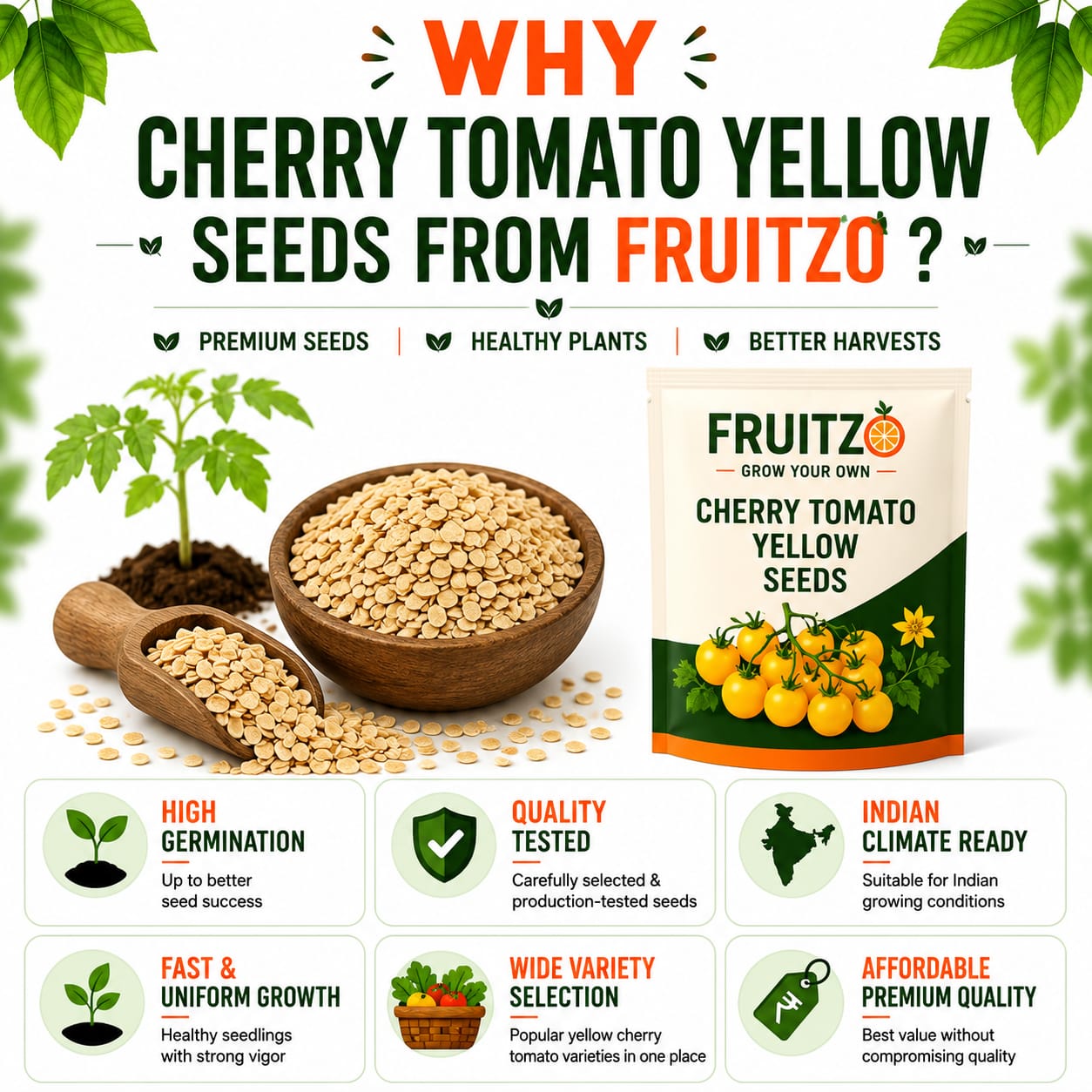 Cherry Tomato Yellow Seeds for Home & Terrace Gardening