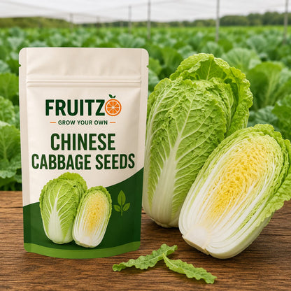 Chinese Cabbage Seeds for Home & Terrace Gardening