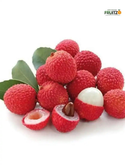 China 3" litchi Grafted plantfor Home & Terrace Gardening