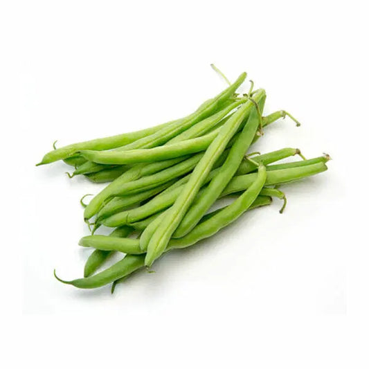 Healthy Harvest Combo For Kitchen Gardening