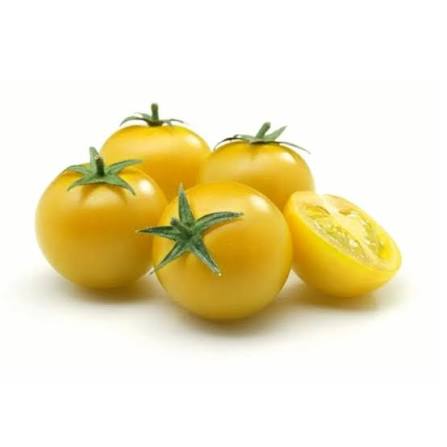 Green Basket Combo For Kitchen Gardening