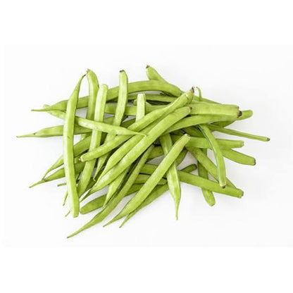 Healthy Harvest Combo For Kitchen Gardening