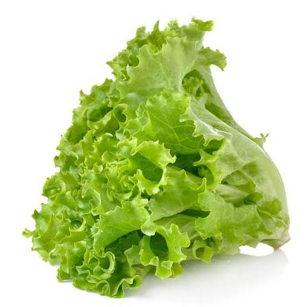 Fresh Harvest Combo for Kitchen Gardening