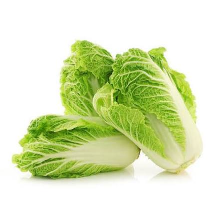 Fresh Harvest Combo for Kitchen Gardening